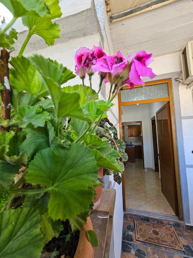 Alex Apartments Sarandë Exterior foto